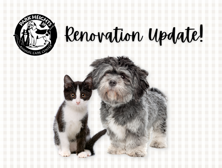 Renovation Update!