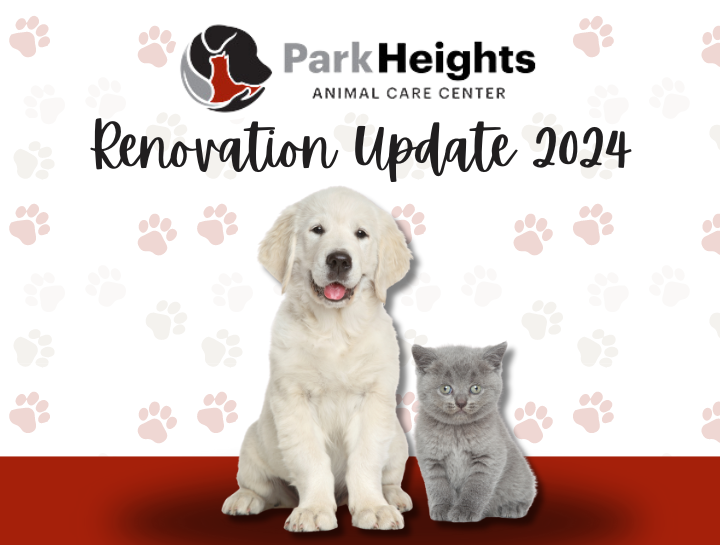 Renovation Update!